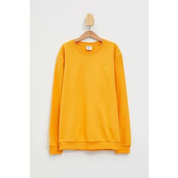 Defacto L0311A6.19AU.YL369 Sarı Erkek Çocuk Uzun Kollu Sweatshirt