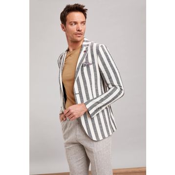 DeFacto L1970AZ19SMWT52 Çizgili Blazer Kadın Ceket
