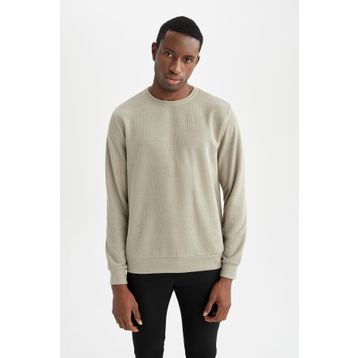 DeFacto W9352AZ22SP Modern Fit Bisiklet Yaka Uzun Kollu Sweatshirt