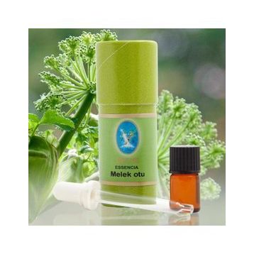 Defne Nuka Essencia 1 ml Melek Otu Yağı