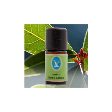 Defne Nuka Essencia 10 ml Defne Yaprağı Yağı