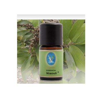 Defne Nuka Essencia 10 ml Niaouli Uçucu Yağ