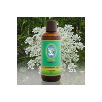 Defne Nuka Essencia 30 ml Havuç Tohumu Yağı