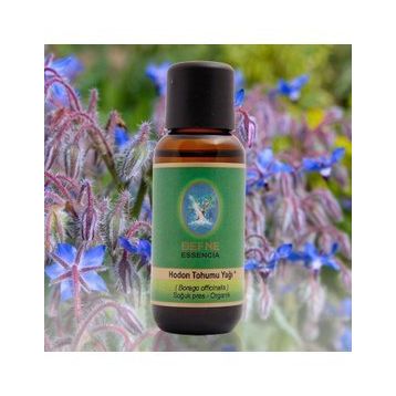Defne Nuka Essencia 30 ml Hodon Tohumu Yağı