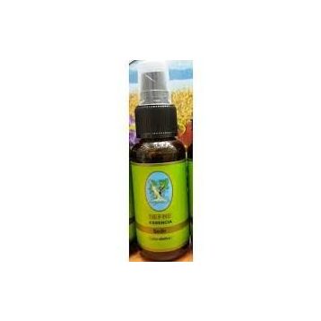 Defne Nuka Essencia 30 ml Sedir Yağı