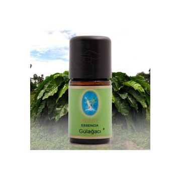 Defne Nuka Essencia 5 ml Adaçayı Yağı