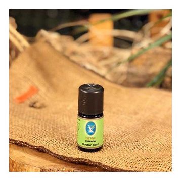 Defne Nuka Essencia 5 ml Bodur Çam Yağı