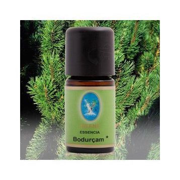 Defne Nuka Essencia 5 ml Bodur Çam Yağı
