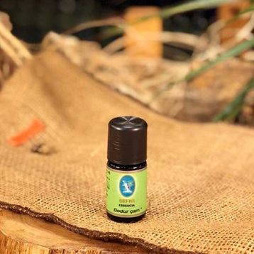 Defne Nuka Essencia 5 ml Bodur Çam Yağı