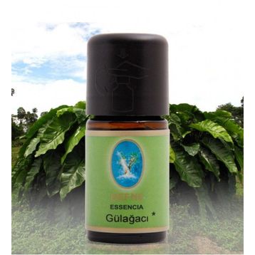 Defne Nuka Essencia 5 ml Gül Ağacı Yağı