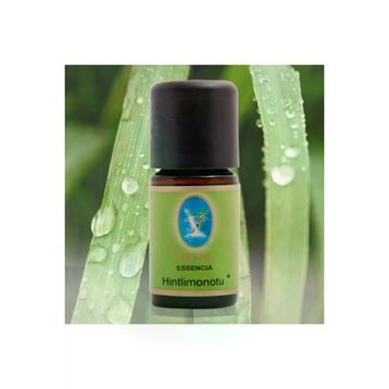 Defne Nuka Essencia 5 ml Hint Limonotu Yağı