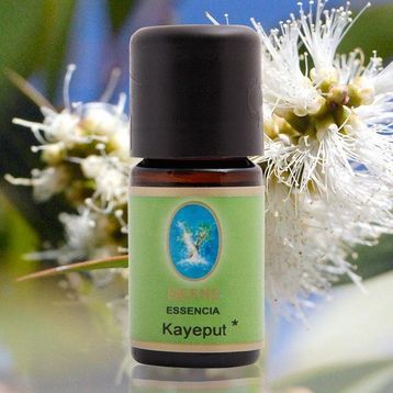 Defne Nuka Essencia 5 ml Kayeput Extra Yağı