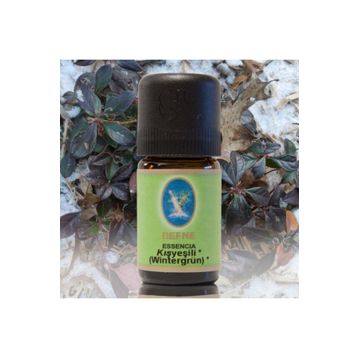 Defne Nuka Essencia 5 ml Kışyeşili Yağı