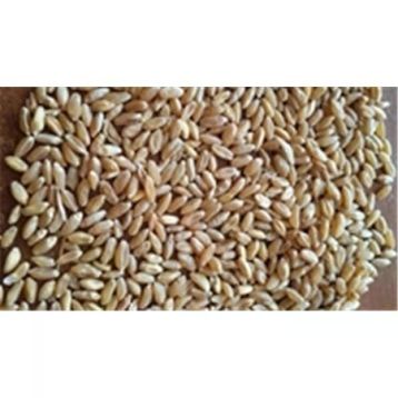 Değirmenim 1 kg İşlenmemiş Buğday