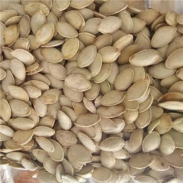 Değirmenim 500 gr Kabak Çekirdeği