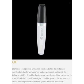 Deina Lip Gloss 01 Dudak Parlatıcısı