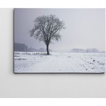 Dekolata Ağaç 40x60 cm Kanvas Tablo