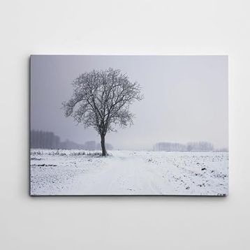 Dekolata Ağaç 70x100 cm Kanvas Tablo