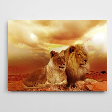 Dekolata Aslan 40x60 cm Kanvas Tablo