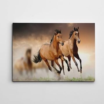 Dekolata Atlar 3 40x60 cm Kanvas Tablo