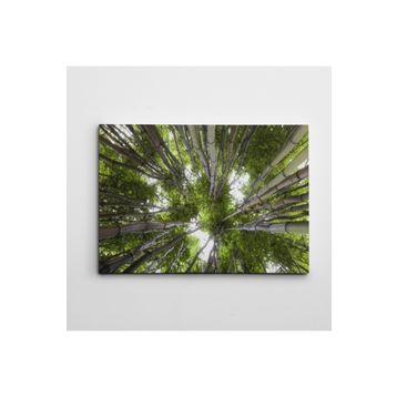 Dekolata Bambular Retro 20x30 cm Kanvas Tablo