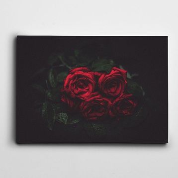 Dekolata Güller 40x60 cm Kanvas Tablo