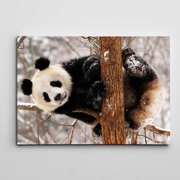 Dekolata Sevimli Panda 25x35 cm Kanvas Tablo