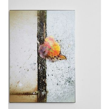 Dekolata Yaprak 70x100 cm Kanvas Tablo