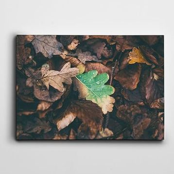 Dekolata Yapraklar 60x85 cm Kanvas Tablo