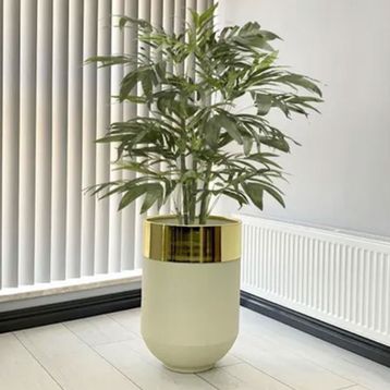 Dekoratif Gold Darbuka 60 cm Beyaz Saksı
