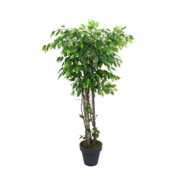 Dekorsende 170 cm Ficus Benjamin Ağacı Yapay Bitki