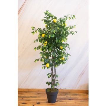 Dekorsende 170 cm Yapay Limon Ağacı