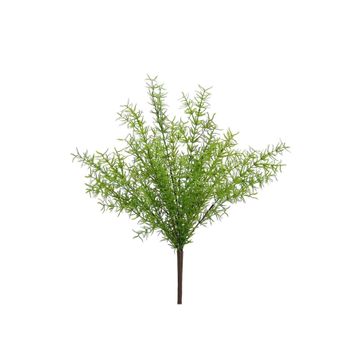 Dekorsende 40 cm Asparagus Demeti Yapay Bitki