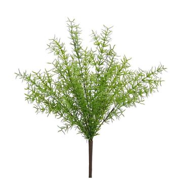 Dekorsende 40 cm Asparagus Demeti Yapay Bitki