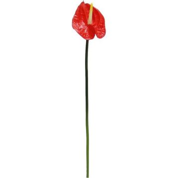 Dekorsende 40 cm Canlı Dokunuş Kırmızı Antoryum Çiçeği Yapay Bitki