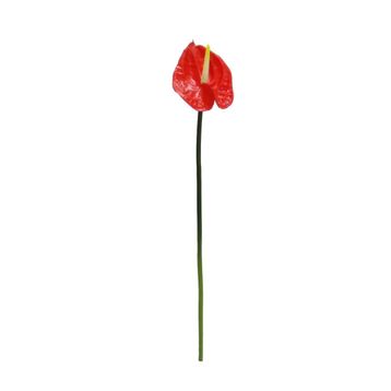 Dekorsende 40 cm Canlı Dokunuş Kırmızı Antoryum Çiçeği Yapay Bitki