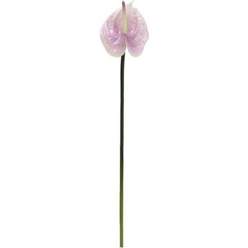 Dekorsende 40 cm Canlı Dokunuş Lila Antoryum Çiçeği Yapay Bitki