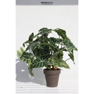 Dekorsende 65 cm Alocasia Demeti Yapay Bitki