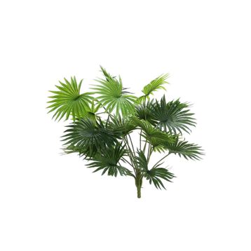 Dekorsende 70 cm Fan Palmiye Demeti Yapay Bitki