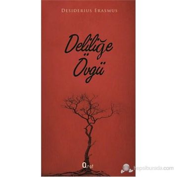 Deliliğe Övgü - Desiderius Erasmus