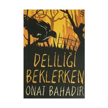 DELİLİĞİ BEKLERKEN - ONAT BAHADIR