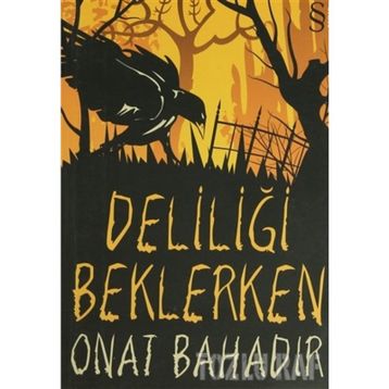 DELİLİĞİ BEKLERKEN - ONAT BAHADIR