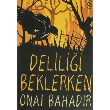 DELİLİĞİ BEKLERKEN - ONAT BAHADIR