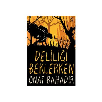 DELİLİĞİ BEKLERKEN - ONAT BAHADIR