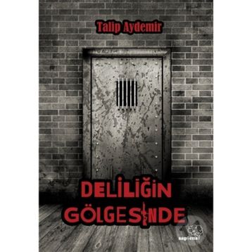 Deliliğin Gölgesinde - Talip Aydemir