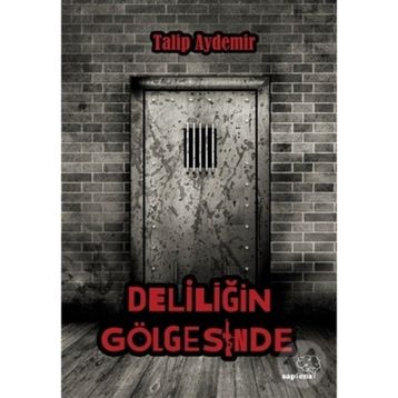 Deliliğin Gölgesinde - Talip Aydemir