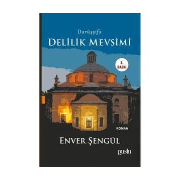 Delilik Mevsimi - Enver Şengül