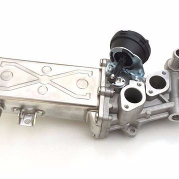 Delphi EG10472-12B1 Egr Valfi