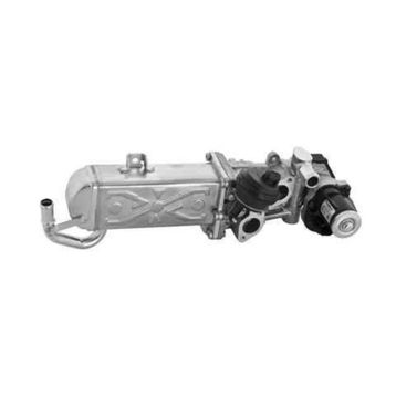 Delphi EG10472-12B1 Egr Valfi