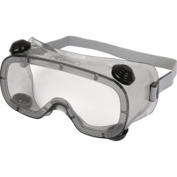 Delta Plus Ruız 1 Şeffaf Goggle Koruyucu Iş Gözlüğü